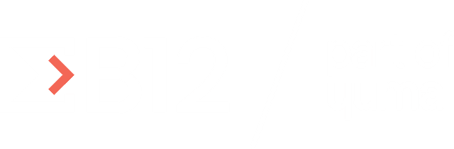 B12 Consulting